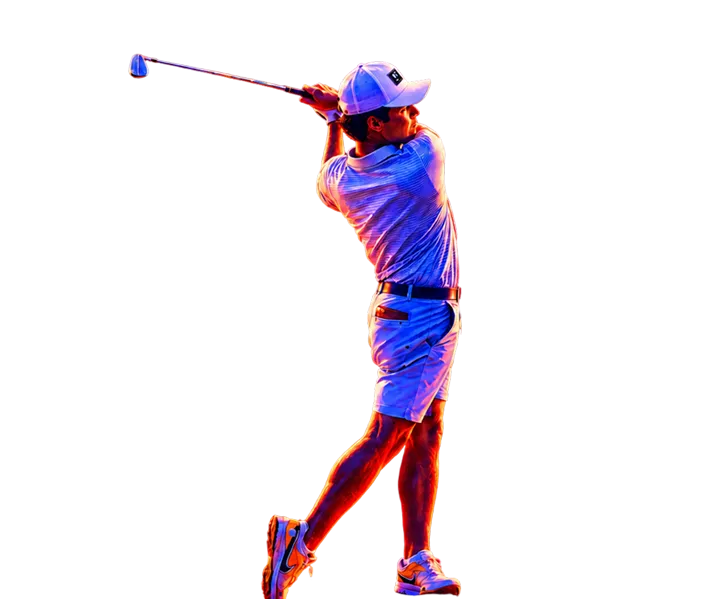 Pro Golf card